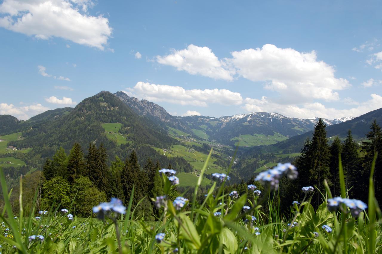 Bergchalet Rauchenhof Reith im Alpbachtal Buitenkant foto